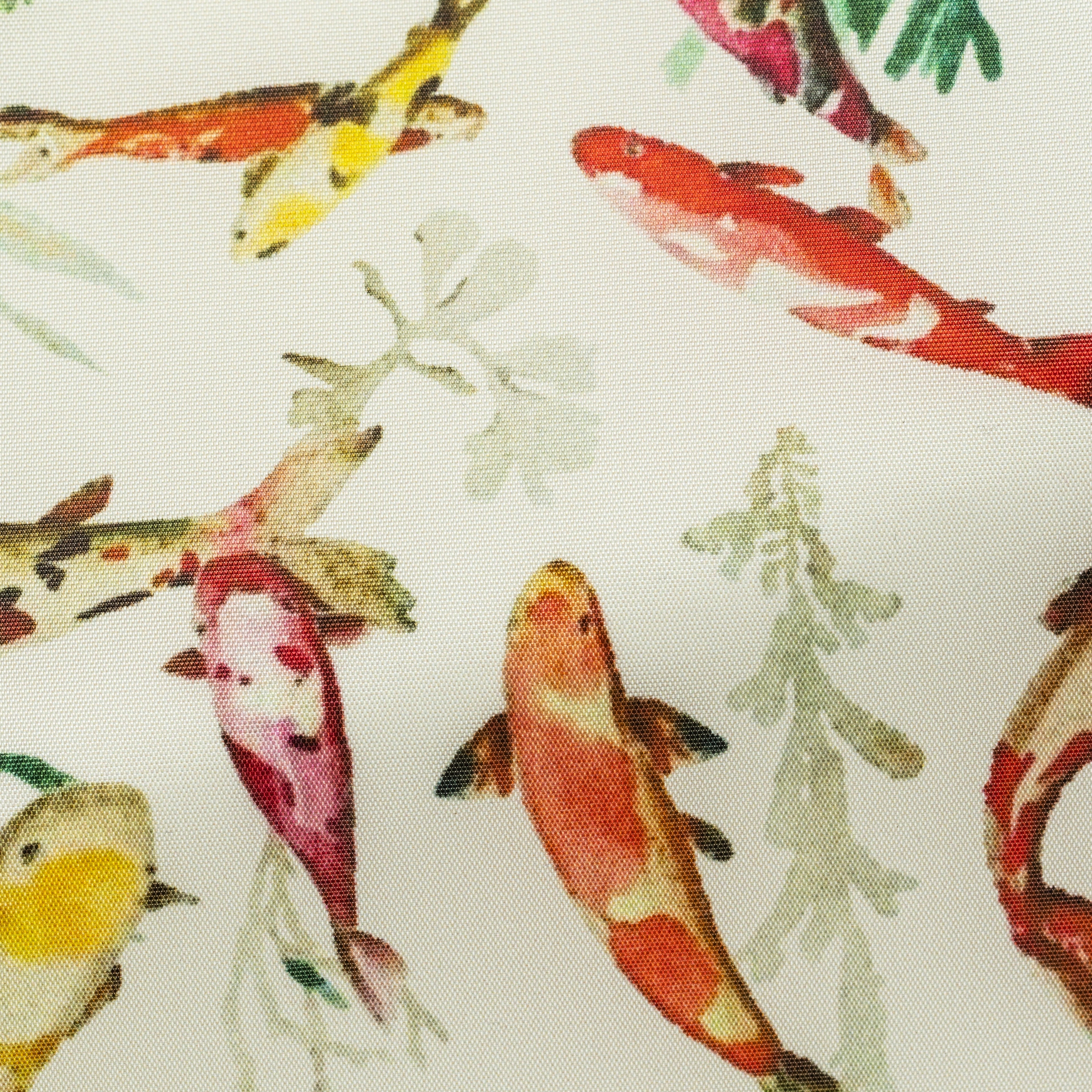 460 l.sand with multi-coloured koi fish