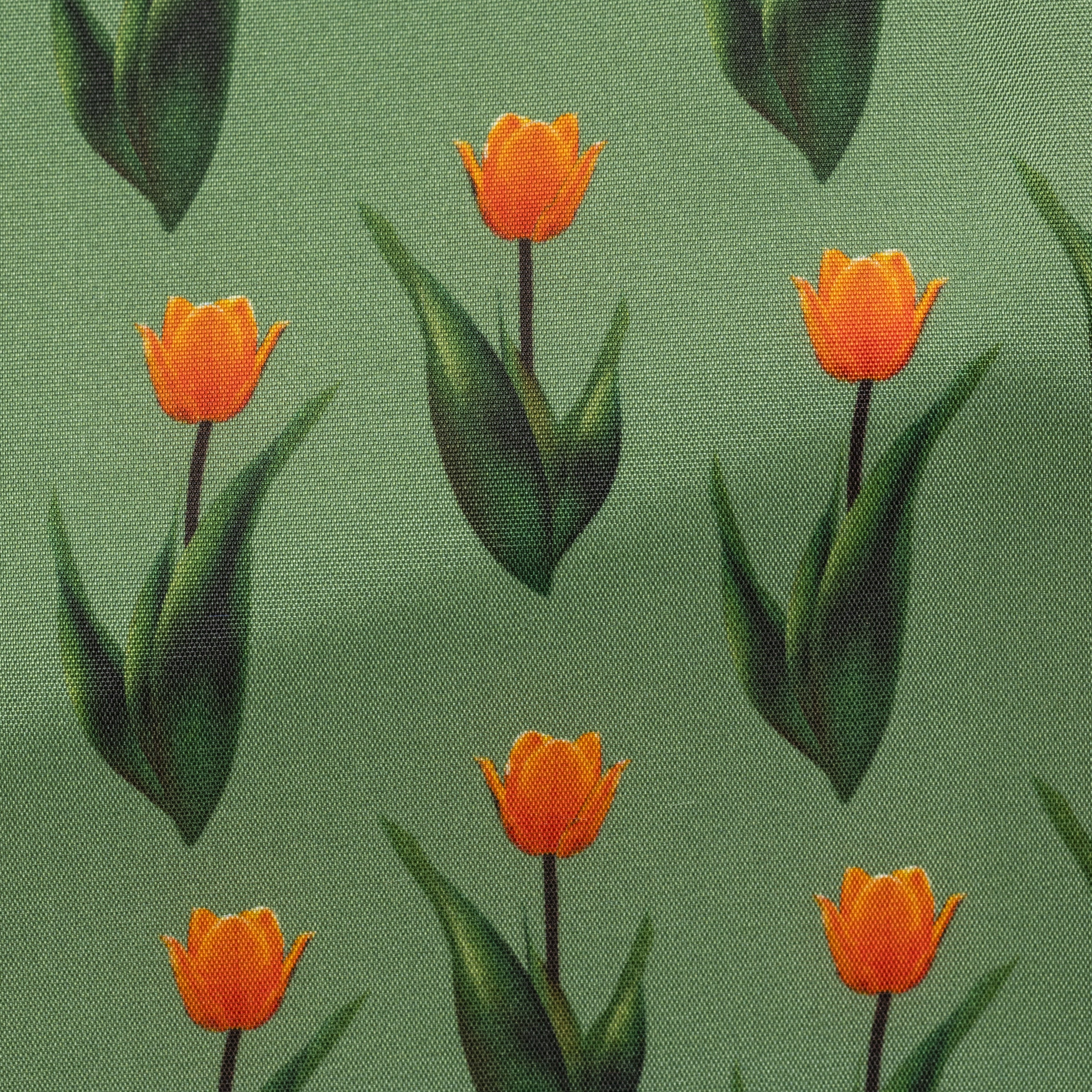458 green with orange tulips