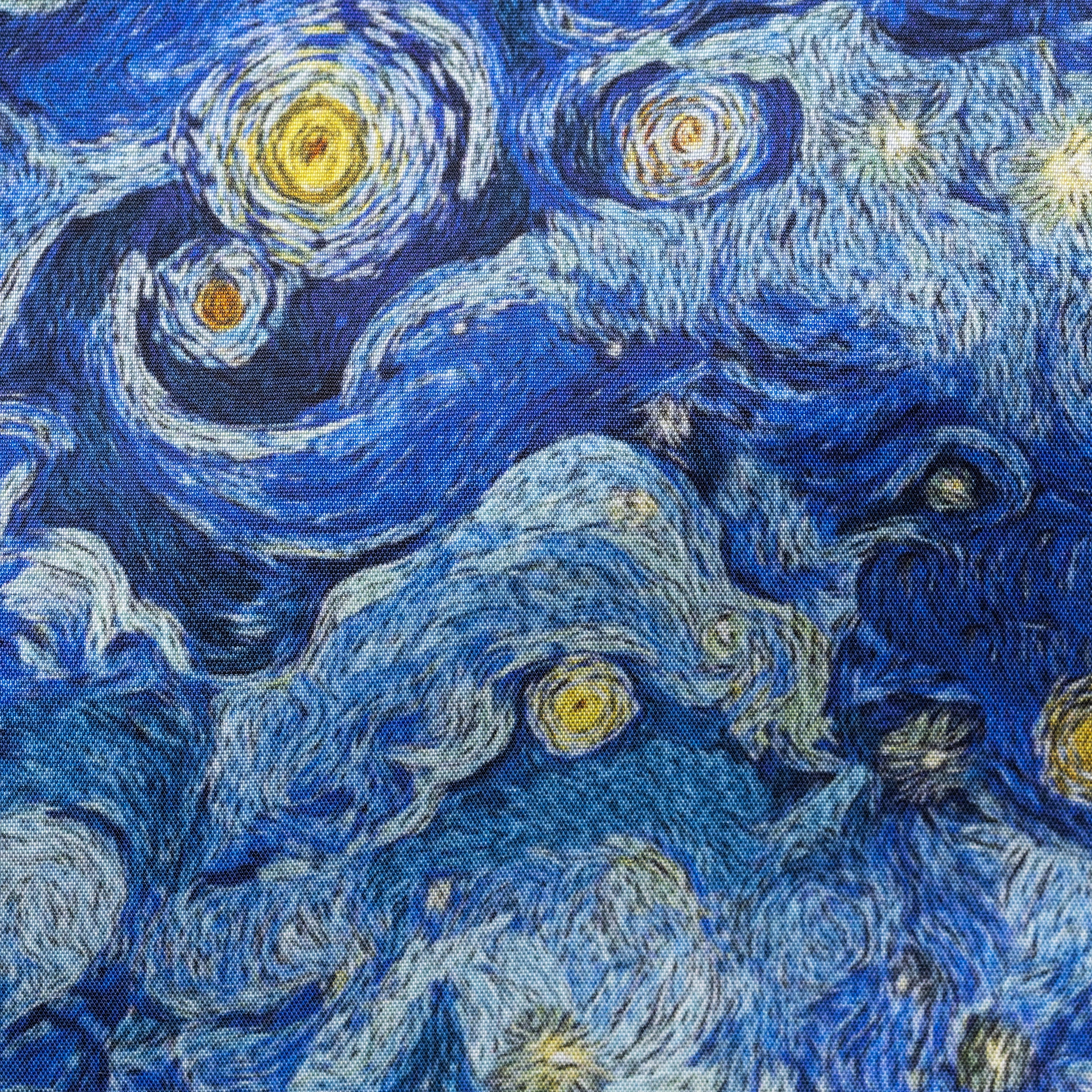 475 van Gogh Starry Night