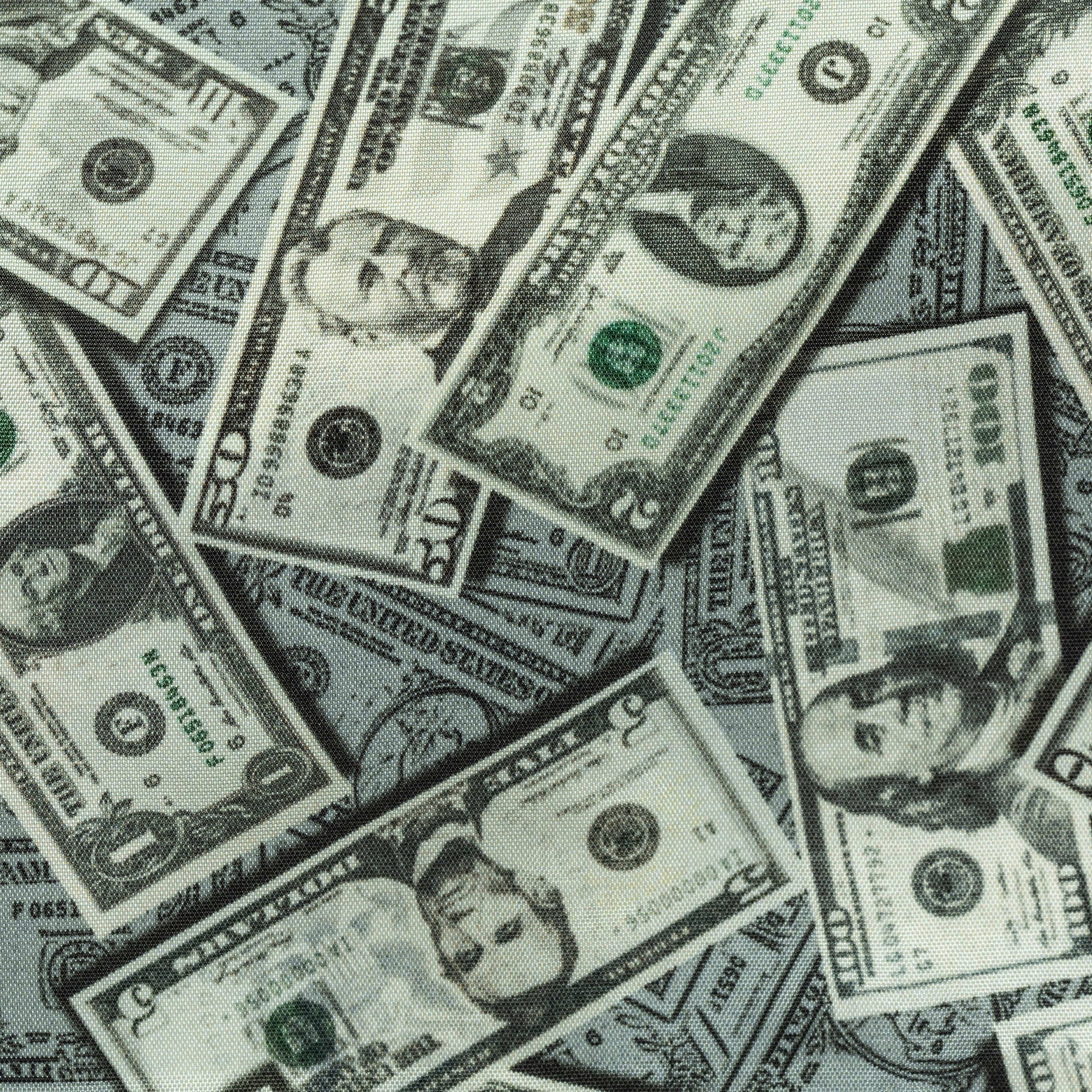 480 American dollar bills